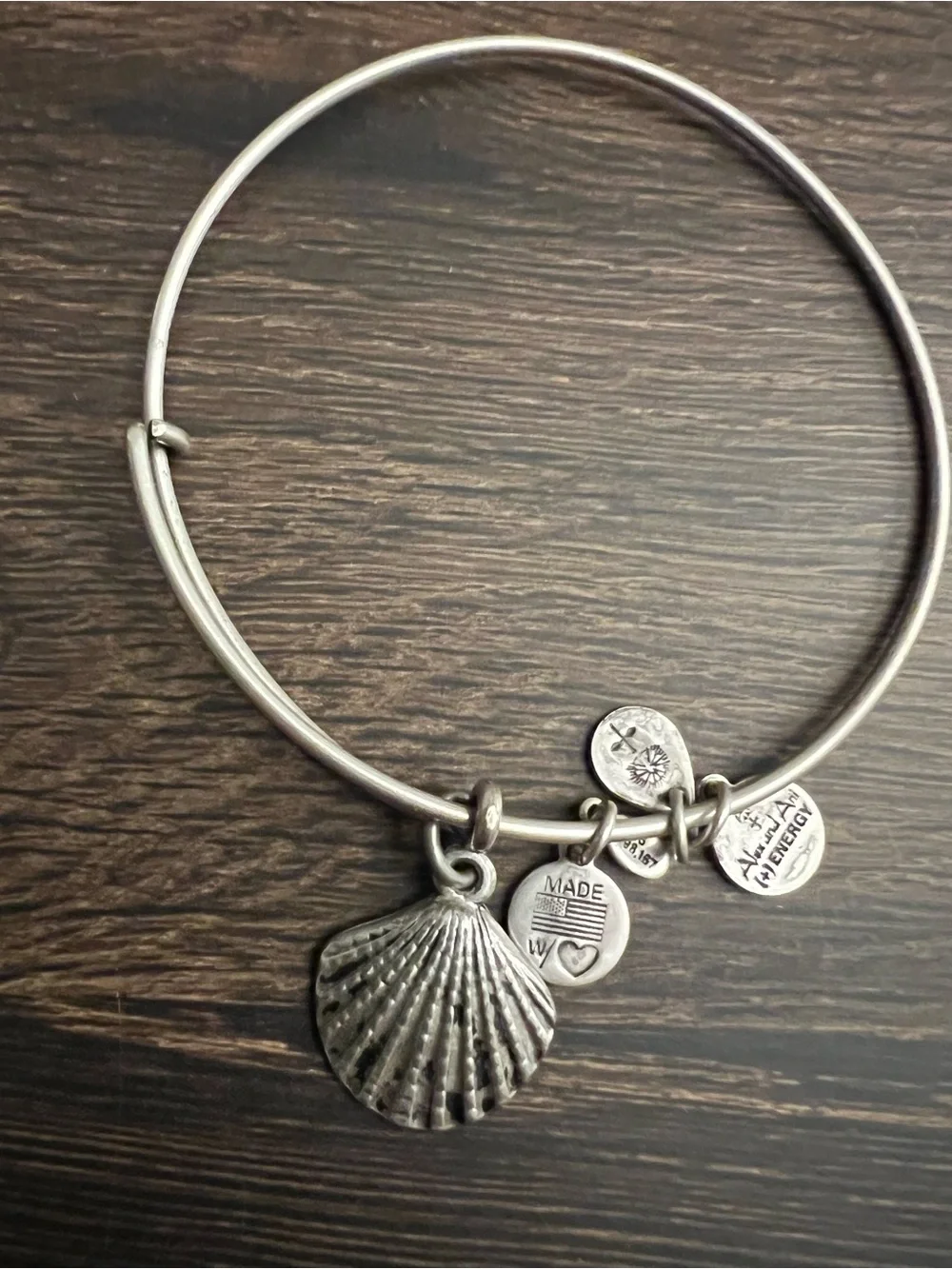 Alex and Ani Silver Tone Stackable Charm Bangle Bracelets Set of 9